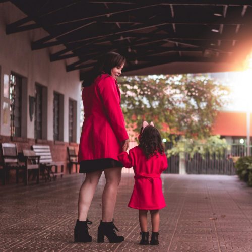 pexels-llucams-2839335